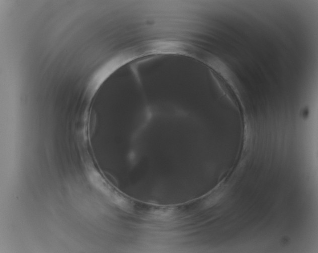 X0000114181386200910151650