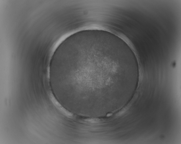 X0000114181388200910151650