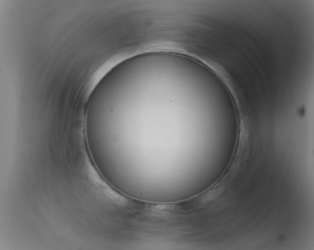 X0000114181390200910151650