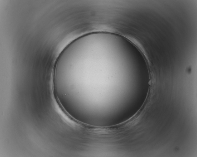X0000114181391200910151650