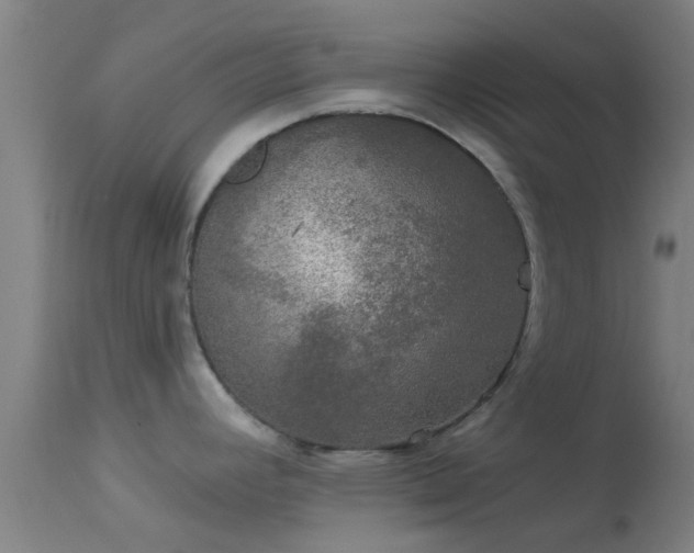 X0000114181392200910151650