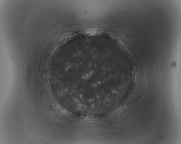 X0000114181393200910151649