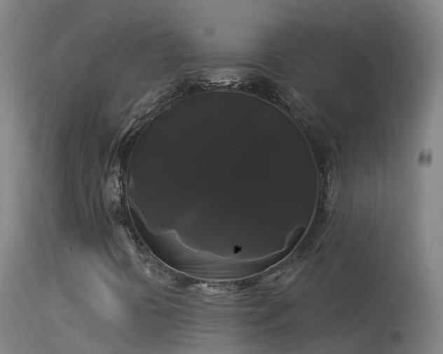 X0000114181394200910151649