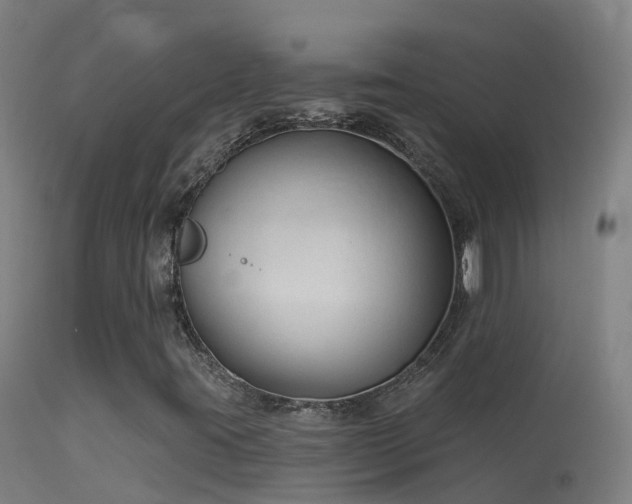 X0000114181395200910151649