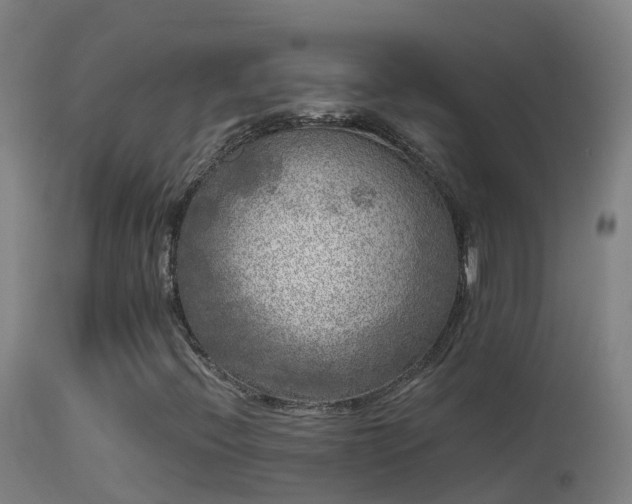 X0000114181396200910151649