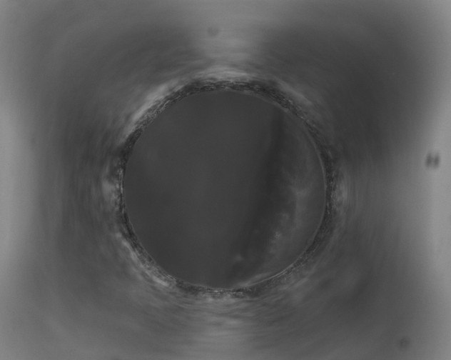X0000114181397200910151649
