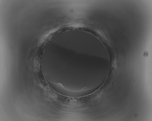 X0000114181398200910151649