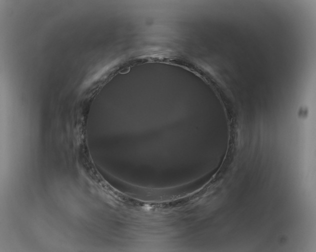 X0000114181399200910151649