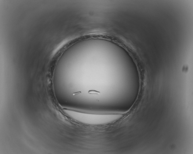 X0000114181400200910151649