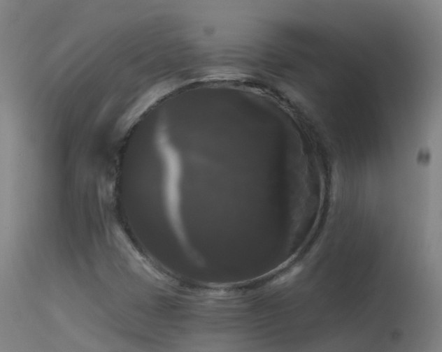 X0000114181401200910151649