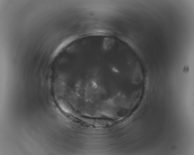 X0000114181402200910151649