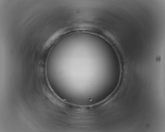 X0000114181403200910151649