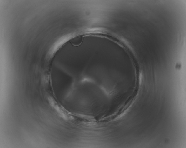 X0000114181405200910151649