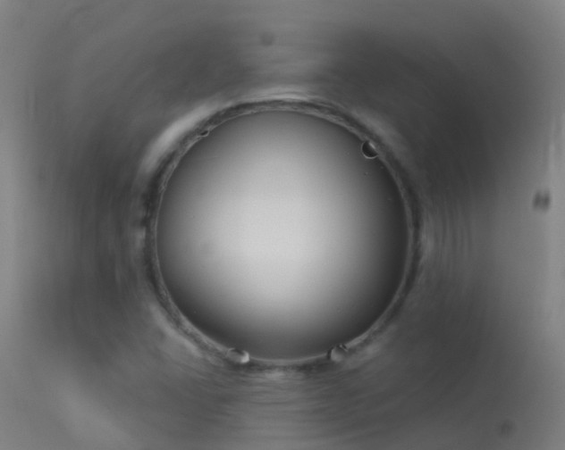 X0000114181406200910151649