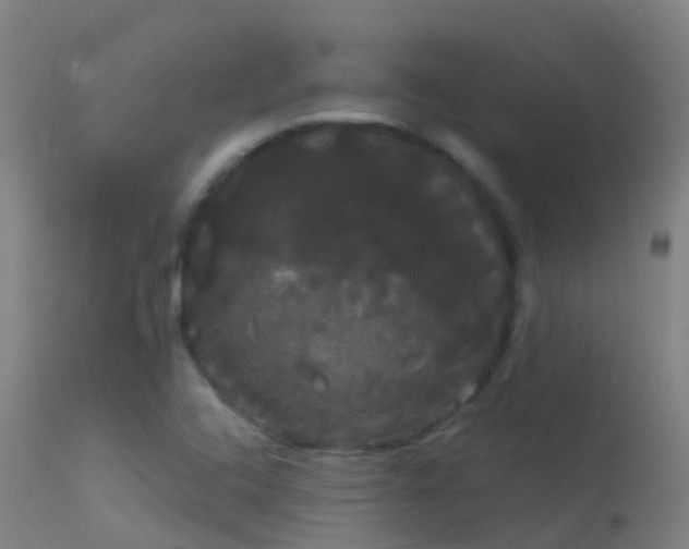 X0000114181408200910151649