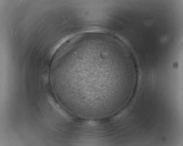 X0000114181409200910151649