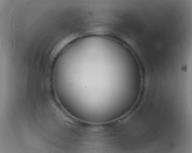 X0000114181410200910151649