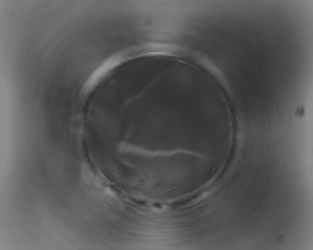 X0000114181411200910151649
