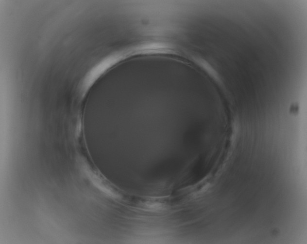 X0000114181413200910151649