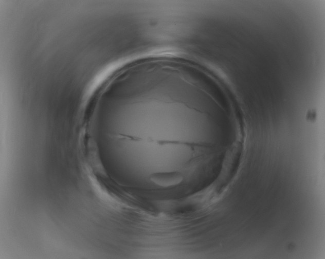 X0000114181414200910151649