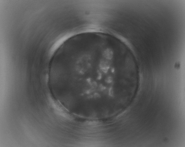 X0000114181415200910151649