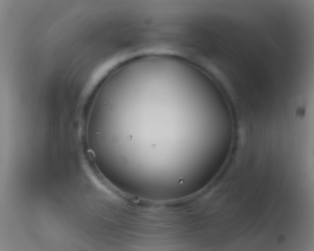 X0000114181416200910151649