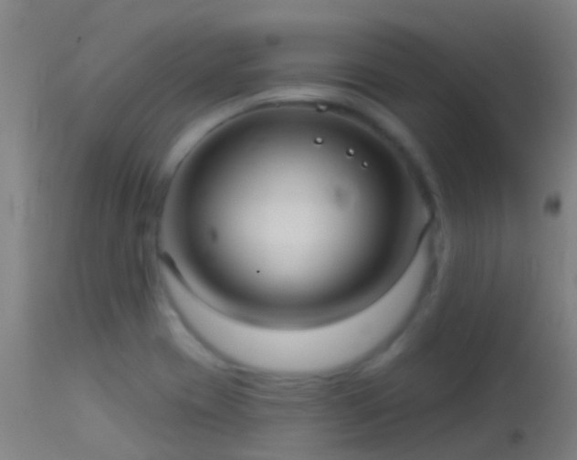 X0000114181417200910151649