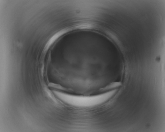 X0000114181418200910151649