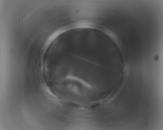 X0000114181419200910151650