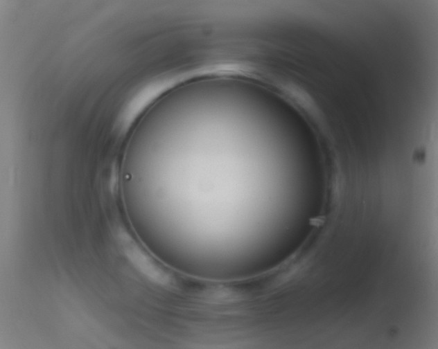 X0000114181420200910151650