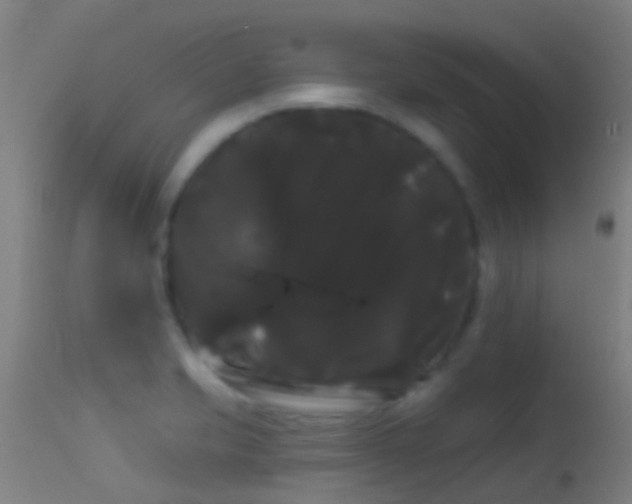 X0000114181421200910151650