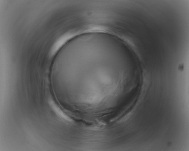 X0000114181422200910151650