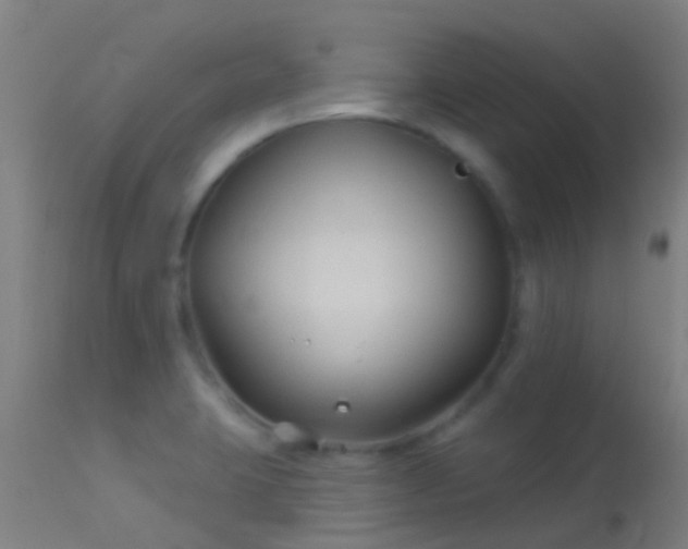 X0000114181423200910151650
