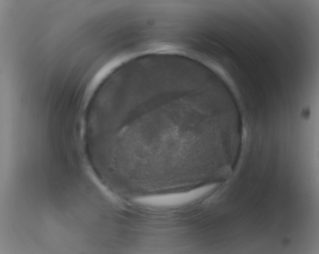 X0000114181424200910151650