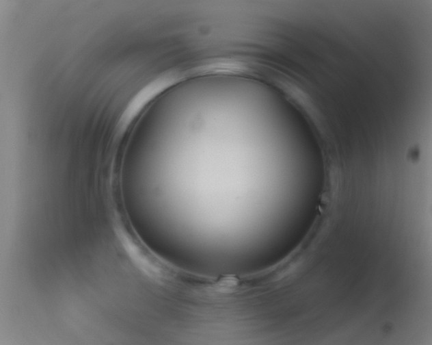 X0000114181426200910151650