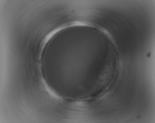 X0000114181427200910151650