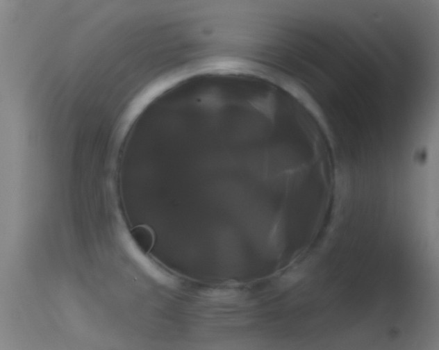 X0000114181429200910151650