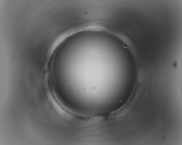 X0000114181430200910151650