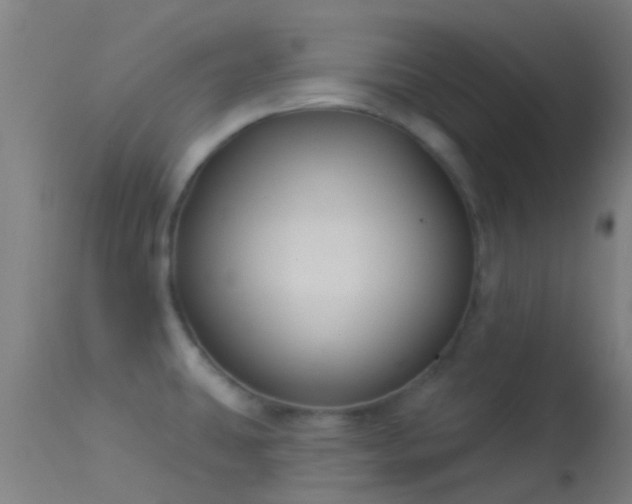 X0000114181431200910151650