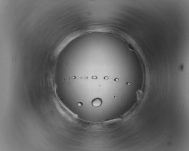 X0000114181433200910151650