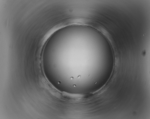 X0000114181435200910151650