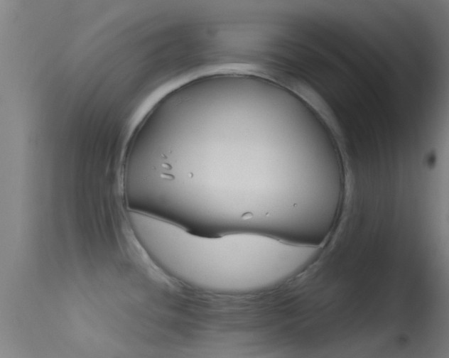X0000114181436200910151650