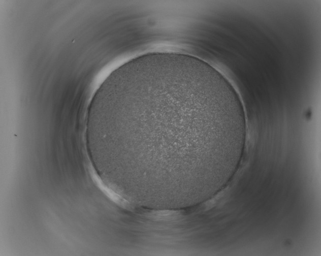 X0000114181437200910151650