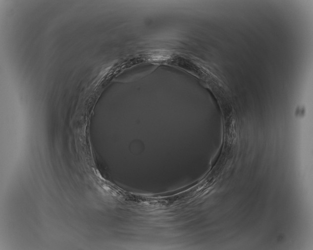 X0000114181441200910151649