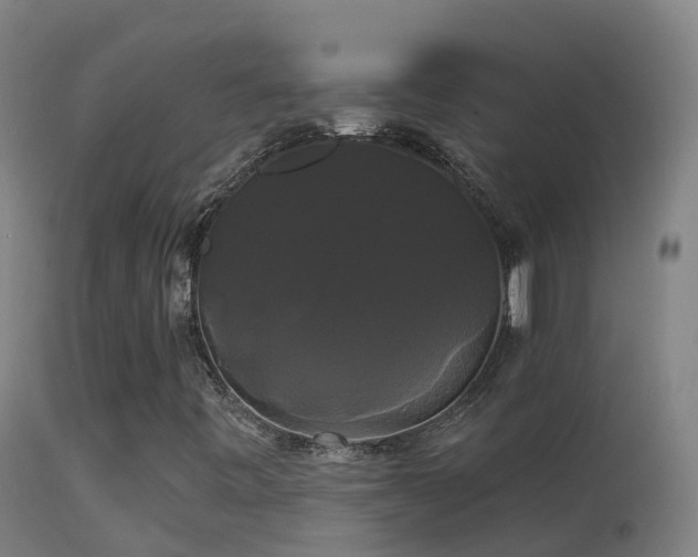 X0000114181443200910151649