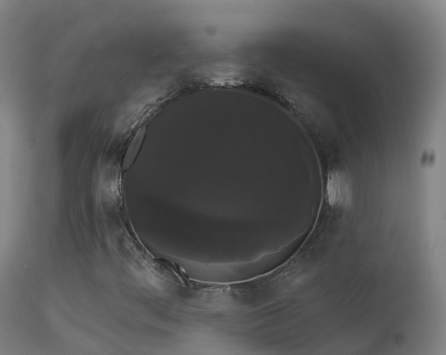 X0000114181444200910151649