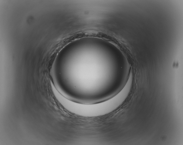 X0000114181445200910151649