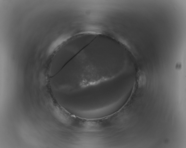 X0000114181448200910151649