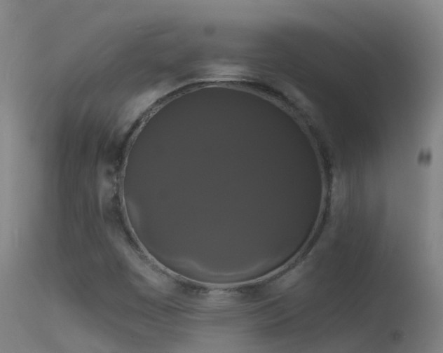 X0000114181449200910151649