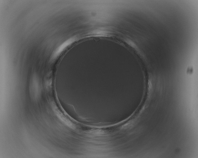 X0000114181450200910151649